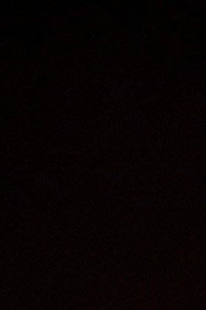 U.S. Senate Democratic Leader Chuck Schumer (D-NY), speaks at the University of Louisville's McConnell Center. Photo by Bill Pugliano/Getty Images