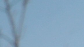Flags fly outside a FedEx facility following an explosion on March 20, 2018 in Schertz, Texas. Photo by Scott Olson/Getty Images