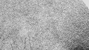 Collage by Sharybeth Lopez for Remezcla