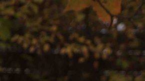 Styling by Nhuo Dong. Photo by Sam Ibram. Courtesy of Moro