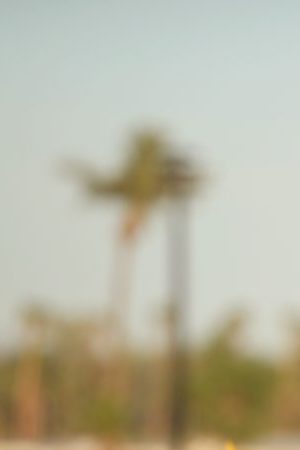 Festivalgoers attend day 2 of the 2017 Coachella Valley Music & Arts Festival. Photo by Christopher Polk/Getty Images for Coachella