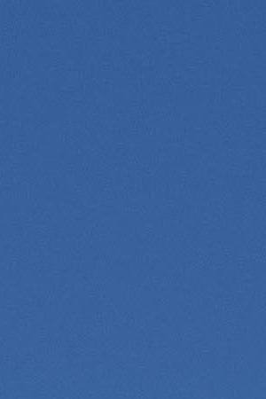 Photo by Derek Brumby/ iStock / Getty Images Plus