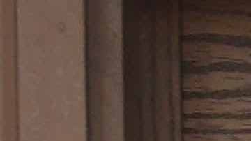 U.S. Immigration and Customs Enforcement (ICE), officers arrive to a Flatbush Gardens home in search of an undocumented immigrant on April 11, 2018 in the Brooklyn borough of New York City. Photo by John Moore/Getty Images