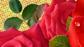 Art by Alan Lopez for Remezcla