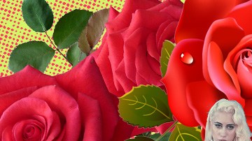 Art by Alan Lopez for Remezcla