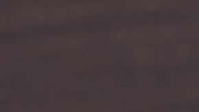 Photo by Wittayayut / iStock / Getty Images Plus