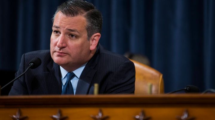 Senator Ted Cruz asks questions as Federal Reserve Chair Janet Yellen testifies. Photo by Zach Gibson/Getty Images