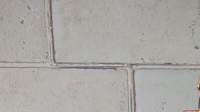 Courtesy of Tomasa del Real