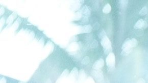 'Grand Hotel' photo by Eric McCandless. Courtesy of ABC