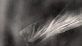 Part of Mestiza. Photo by Citlali Fabián. Courtesy of photographer