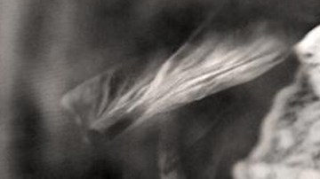 Part of Mestiza. Photo by Citlali Fabián. Courtesy of photographer