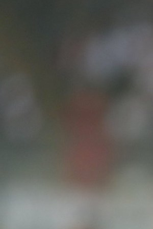 Peruvian players show solidarity with banned captain, Paolo Guerrero, ahead of their World Cup friendly with Scotland. Photo via COPA90 US.