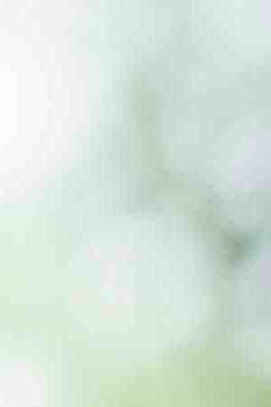 Photo by DOUGBERRY / E+