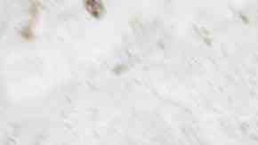 Photo by Bryan Mullennix