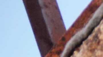 Photo by sassy1902 /	iStock / Getty Images Plus