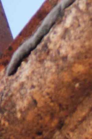 Photo by sassy1902 /	iStock / Getty Images Plus