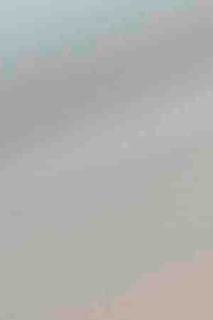 Photo by tomeng / 	iStock Unreleased