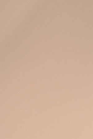 Actor Leonardo DiCaprio, poses in the press room during The 22nd Annual Screen Actors Guild Awards. Photo by Jason Merritt/Getty Images for Turner