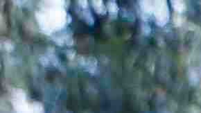 Photo by Jeremy Woodhouse/Holly Wilmeth / Blend Images