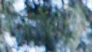 Photo by Jeremy Woodhouse/Holly Wilmeth / Blend Images