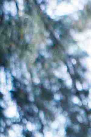 Photo by Jeremy Woodhouse/Holly Wilmeth / Blend Images