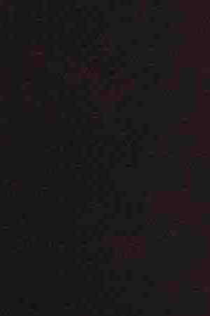 Kat Von D attends an influencer launch of the new Kat Von D Beauty range. Photo by Jack Taylor/Getty Images for Kat Von D Beauty