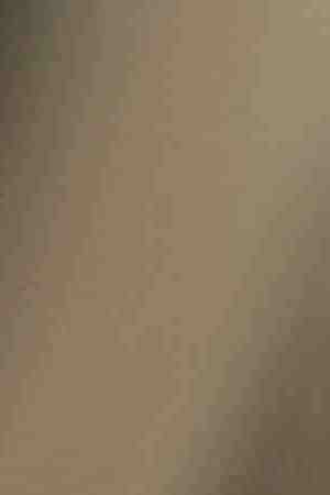 Photo by laflor / E+