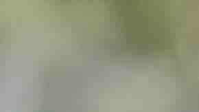 Photo by Klaus Vedfelt / DigitalVision