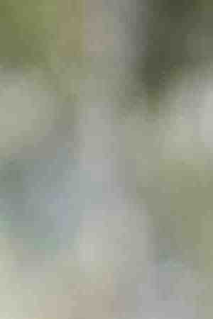 Photo by Klaus Vedfelt / DigitalVision