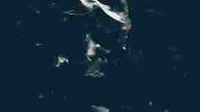 Photo by Yukinori Hasumi / Moment