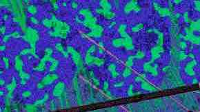 Art by Shary Lopez for Remezcla