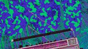 Art by Shary Lopez for Remezcla