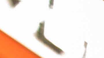 Photo by Itzel Alejandra Martinez for Remezcla