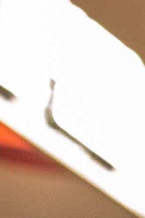 Photo by Itzel Alejandra Martinez for Remezcla