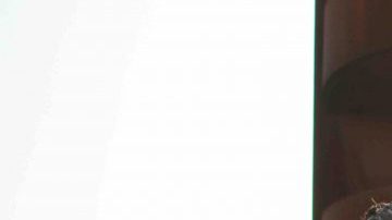 Courtesy of Nacional Records