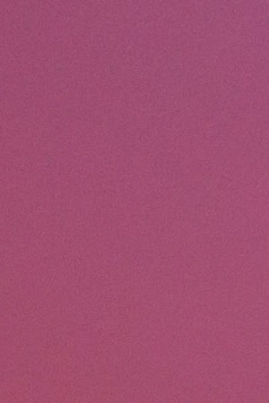 Photo by Itzel Alejandra Martinez for Remezcla