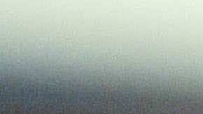 Rosie Perez. Photo by Frederick M. Brown/Getty Images