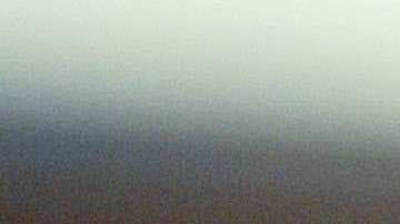 Rosie Perez. Photo by Frederick M. Brown/Getty Images