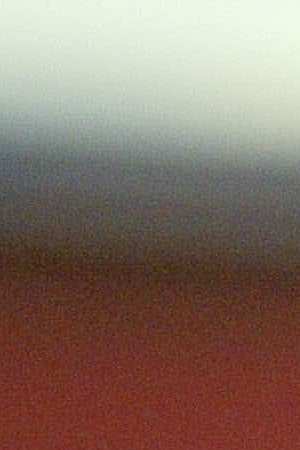 Rosie Perez. Photo by Frederick M. Brown/Getty Images