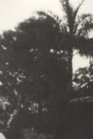 'Una pelea cubana contra los demonios.' Courtesy of Festival Internacional del Nuevo Cine Latinoamericano.