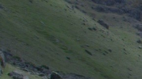 Courtesy of Cineaparte