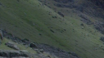 Courtesy of Cineaparte