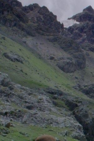 Courtesy of Cineaparte