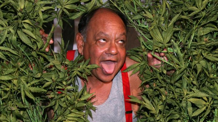 Comedians Cheech Marin. Photo by Frazer Harrison / Staff / Getty Images Entertainment