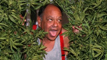Comedians Cheech Marin. Photo by Frazer Harrison / Staff / Getty Images Entertainment