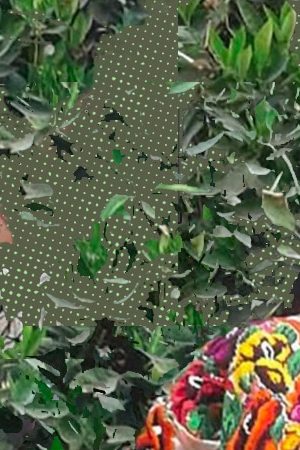 Art by Alan López for Remezcla