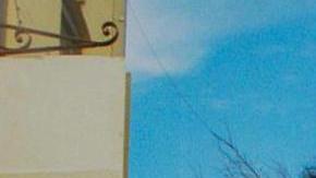 Photo by David Rodriguez. Courtesy of Orienteer