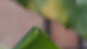 'Grown' web series still courtesy of Complex