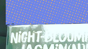 Art by Alan López for Remezcla