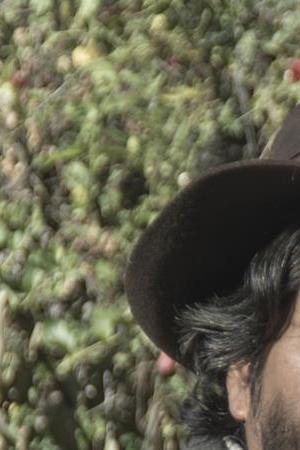 'Retablo' film still courtesy of Outfest.